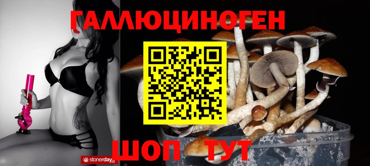 Псилоцибиновые грибы Magic Shrooms Великий Устюг